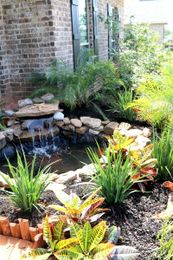 15 Lovely DIY Pond Designs