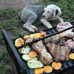 Keeping Your Pets Safe at Cookouts