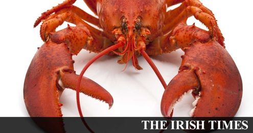 Lobster: A splendid meal that’s not just for poshos