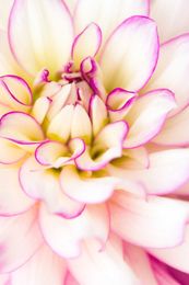 7 Photography Exercises to Take Your Nature Photos to the Next Level