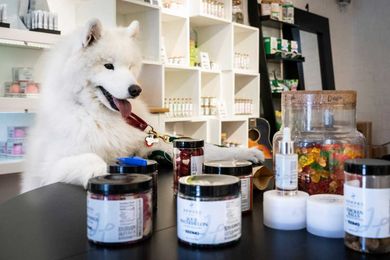 NYC pet owners are giving their stressed out animals pot products