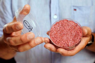 Beef producers want lab-grown meat to be called something else entirely