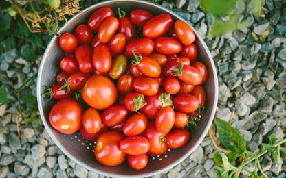 10 Tips for Growing a Bumper Crop