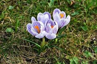 Tell Us: What Does Help Give You?