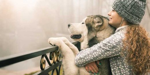 How Joint Health Can Help Keep Your Dog Up to Speed