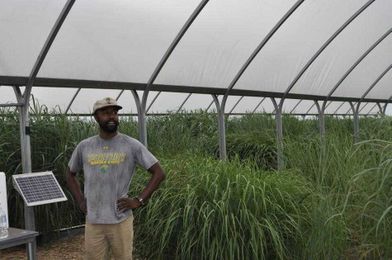 Watching the grass grow: Blackland center sets up models used around world