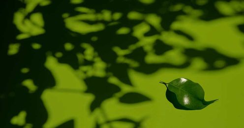 Keep Your Augmented Reality. Give Me a Secret Garden.