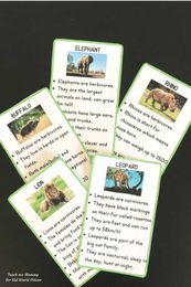 Learn about South African "Big 5 Animals"