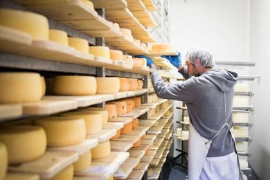 QUIZ: How Well Do You Know Your Cheese?