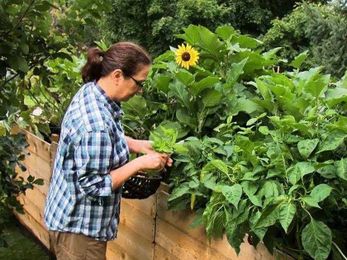 Mayo Clinic Minute: Benefits of tending a garden