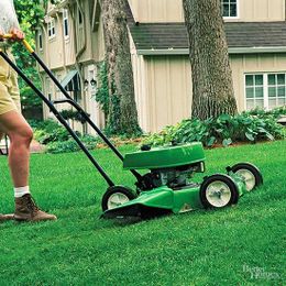 8 Surprising Reasons to Not Mow Your Lawn as Often