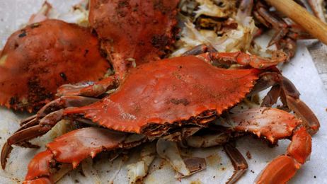 Crab addict heard eating too many crabs can cause vertigo. Is that true?