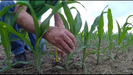 Farmers are trying to catch up on planting crops