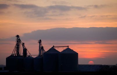 What We Can Learn From a $5 Million-Dollar Agricultural Cooperative Fraud