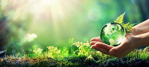 Thinking green? Start with contact lenses