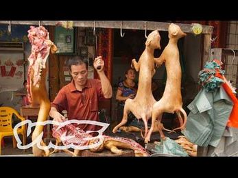LANGUAGE ADVISORY-VIDEO of the possible meat supply of Chinese restaurants