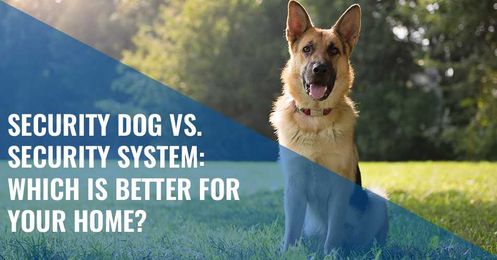 Security Dog vs. Security System: Which is Better for Your Home?
