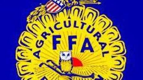 BLOG: 12 Fun Facts about FFA