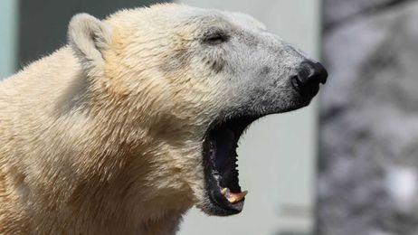 How to Tell If You're Boring