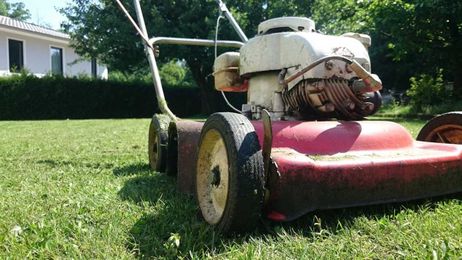 My dad obsesses over his lawn. I ripped mine up. [Opinion]