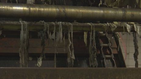 How flushing goldfish, other items could lead to sewer system problems