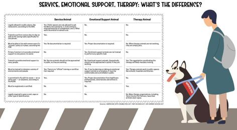 Support dog or pampered pet? Training tells the difference