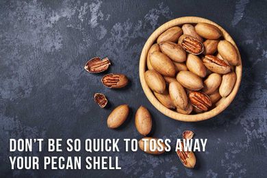 Don’t Be So Quick To Toss Away Your Pecan Shells