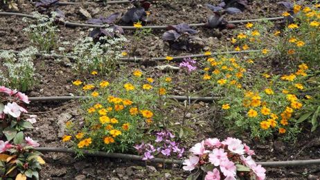 Rosie on the house: Should I use PVC or polyethylene piping to water my yard?