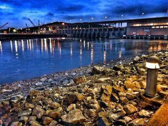 When it comes to catfish, it's good to get the blues