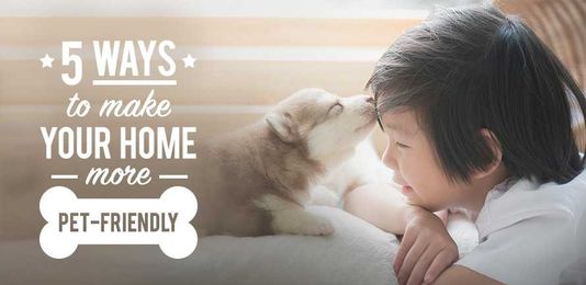5 Ways to Make Your Home More Pet-Friendly