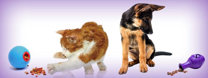 Feeding Puzzles for Nutrition and Enrichment