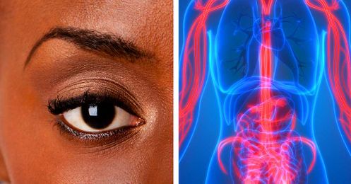 If You Can Ace This Human Body Quiz, You Should Be A Doctor