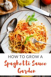 How to Grow a "Spaghetti Sauce Garden"