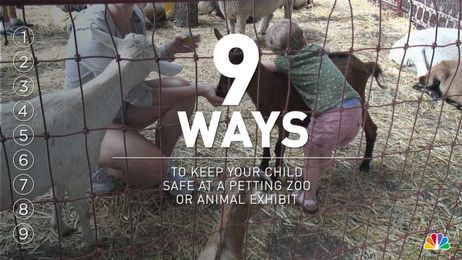 How to Keep Your Child Safe at a Petting Zoo