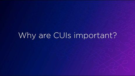 Nathan Shedroff on why CUIs are important