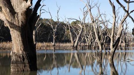 Confused by the Murray Darling controversy? Here's your simple guide