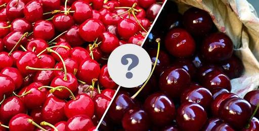 What Is the Difference Between Tart Cherries and Sweet Cherries?