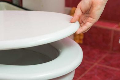 Why is the toilet seat the gold standard for germs?