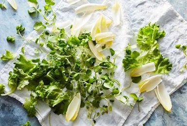 How to pick the right type of lettuce for better salads