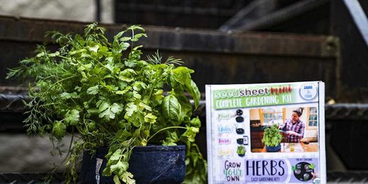 These Amazon Gardening Kits Will Actually Text You When to Water Your Plants