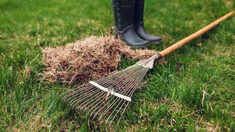 Video: 5 DIY Landscaping Projects Anyone (Yes, You!) Can Do