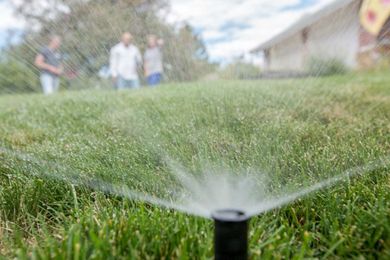 How much water does your landscape really need?