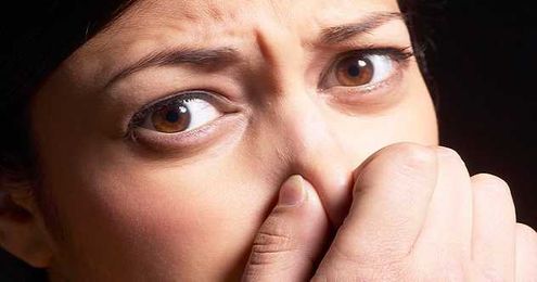 10 Disgusting Materials Used For Great Innovations