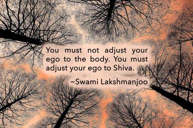 Why this universe does not take place according to my choice?