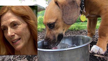 Is she speaking their language? An animal communicator talks with the pets of some FOX6 viewers