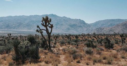 When You Enter the Wilderness… Just Keep Going