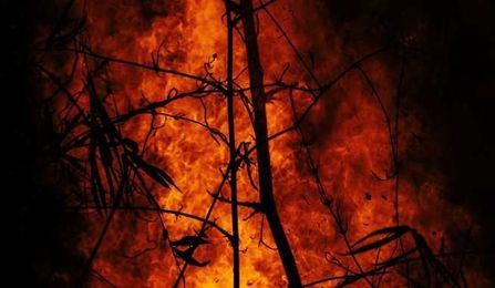 How to Tame Your Tongue into A Controlled Fire