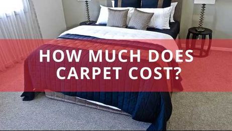 How much does carpet cost?