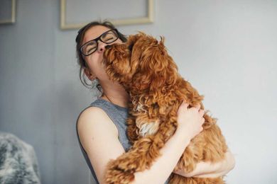 How to Choose a Trustworthy Pet Boarding Service or Sitter