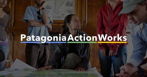 Connect With Environmental Action Groups